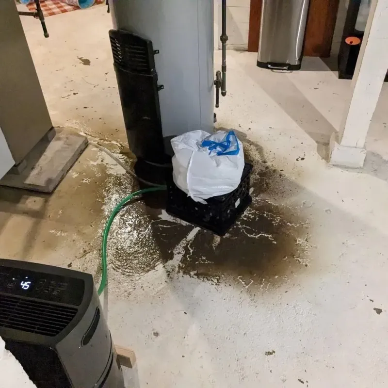 Sewage Backup Cleanup Service in San Antonio Heights, CA